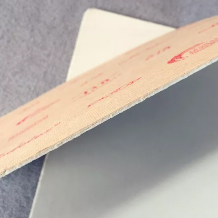 Eva ile Kağıt Kurulu